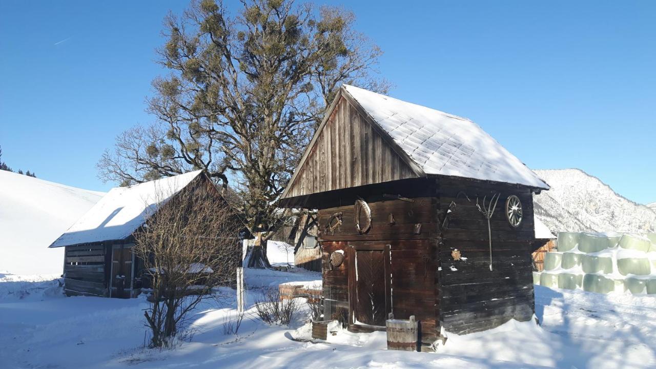 Kulmerhof - Farm Daire Pruggern Dış mekan fotoğraf