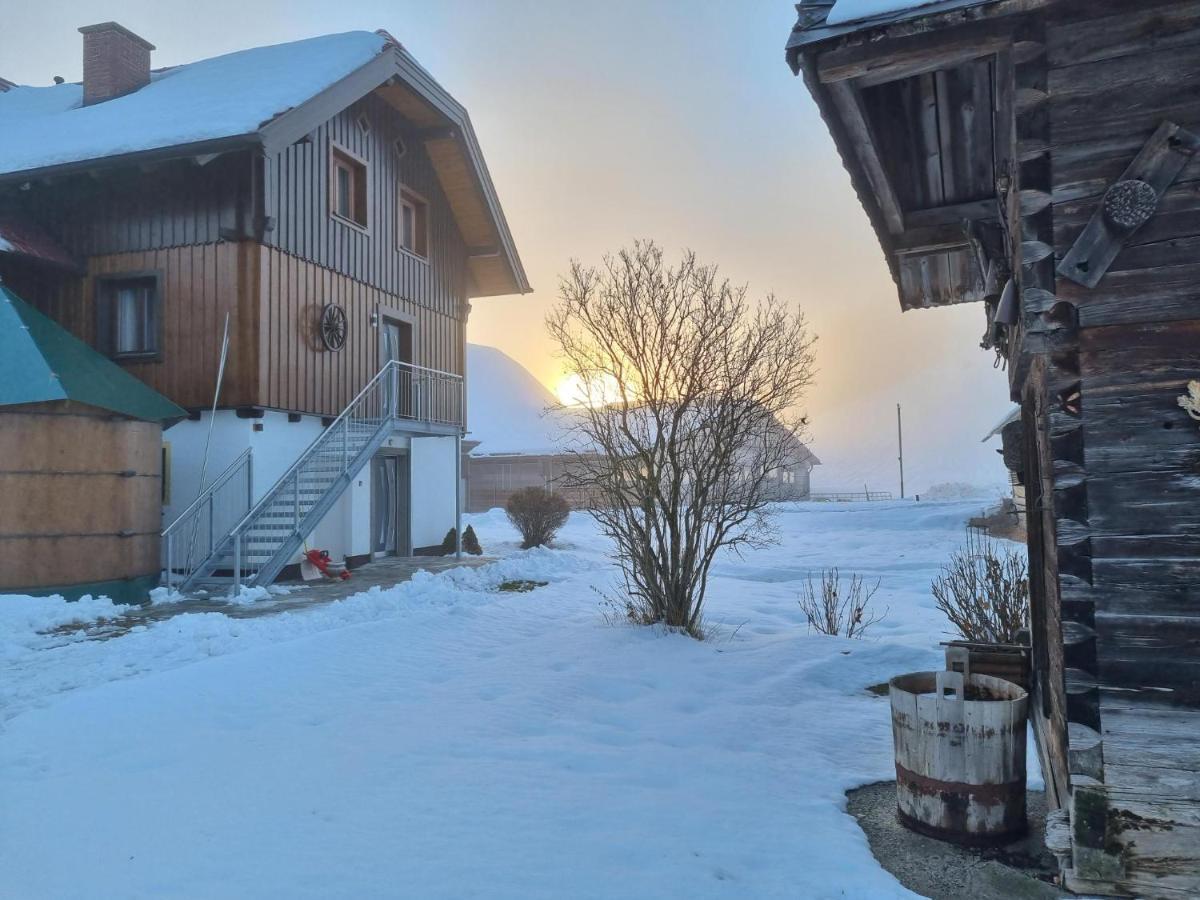 Kulmerhof - Farm Daire Pruggern Dış mekan fotoğraf