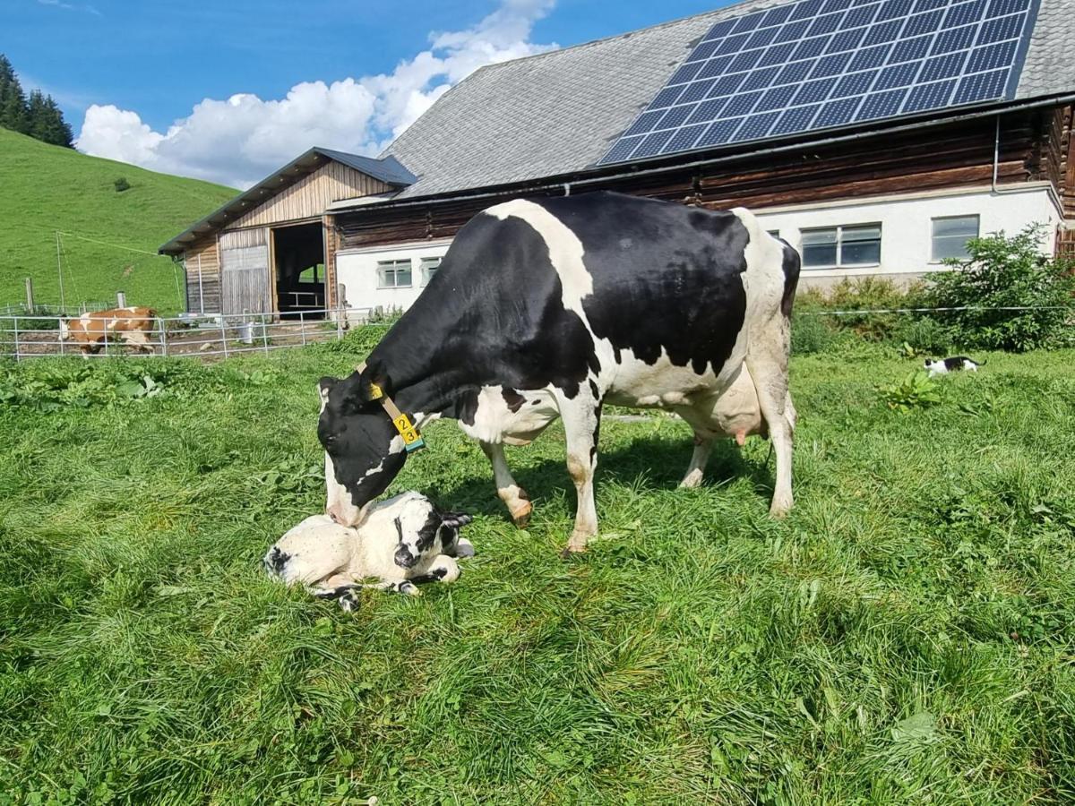 Kulmerhof - Farm Daire Pruggern Dış mekan fotoğraf
