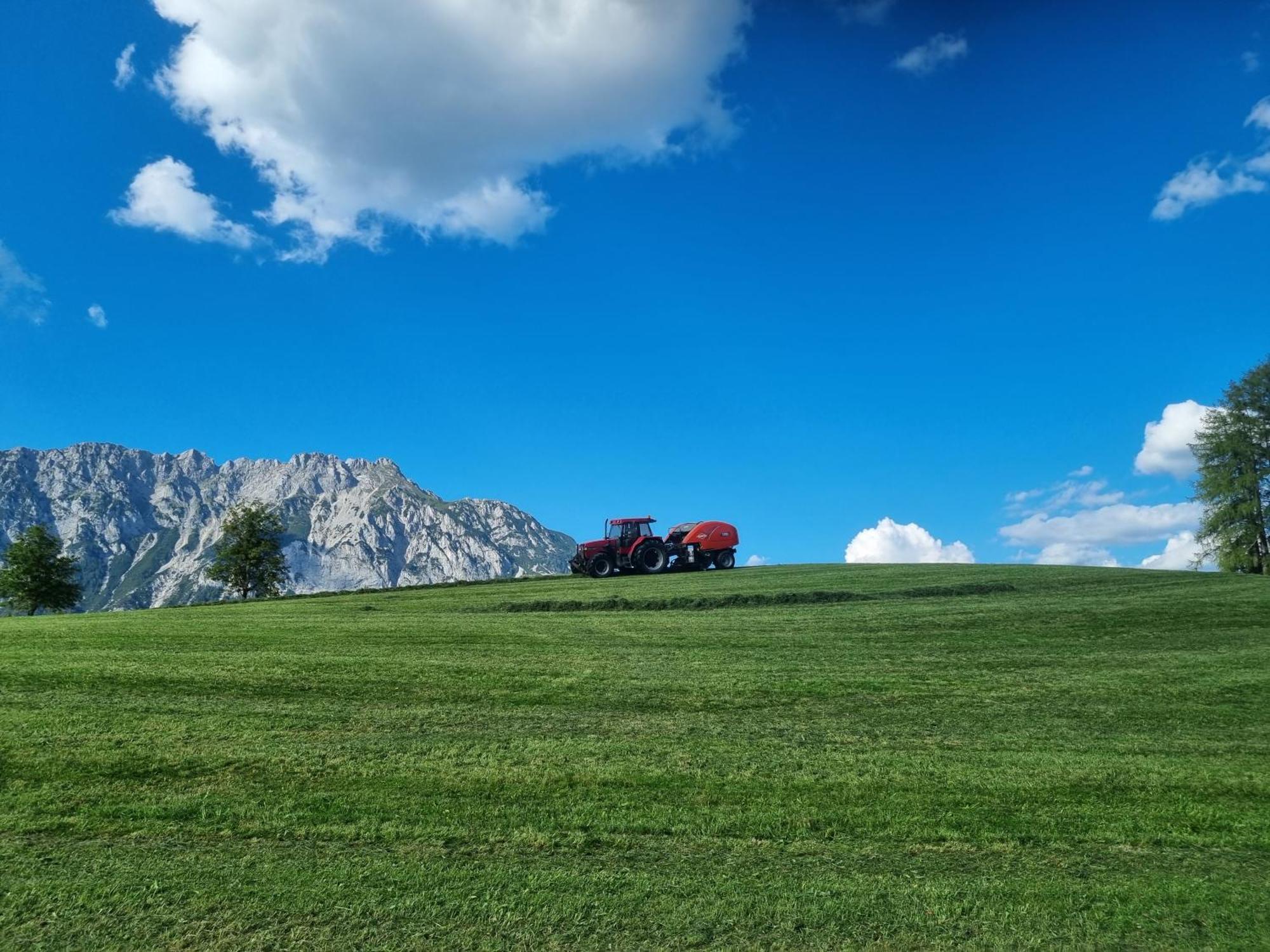 Kulmerhof - Farm Daire Pruggern Dış mekan fotoğraf