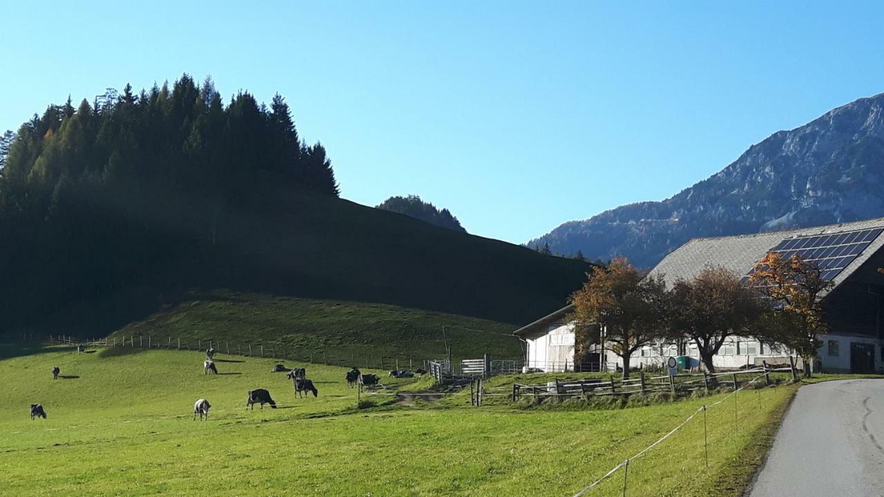 Kulmerhof - Farm Daire Pruggern Dış mekan fotoğraf